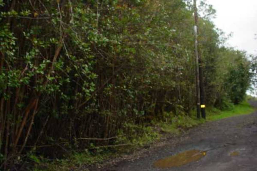 172069 MAUNA LANI TRACT RD Land for Sale in MOUNTAIN VIEW 176750