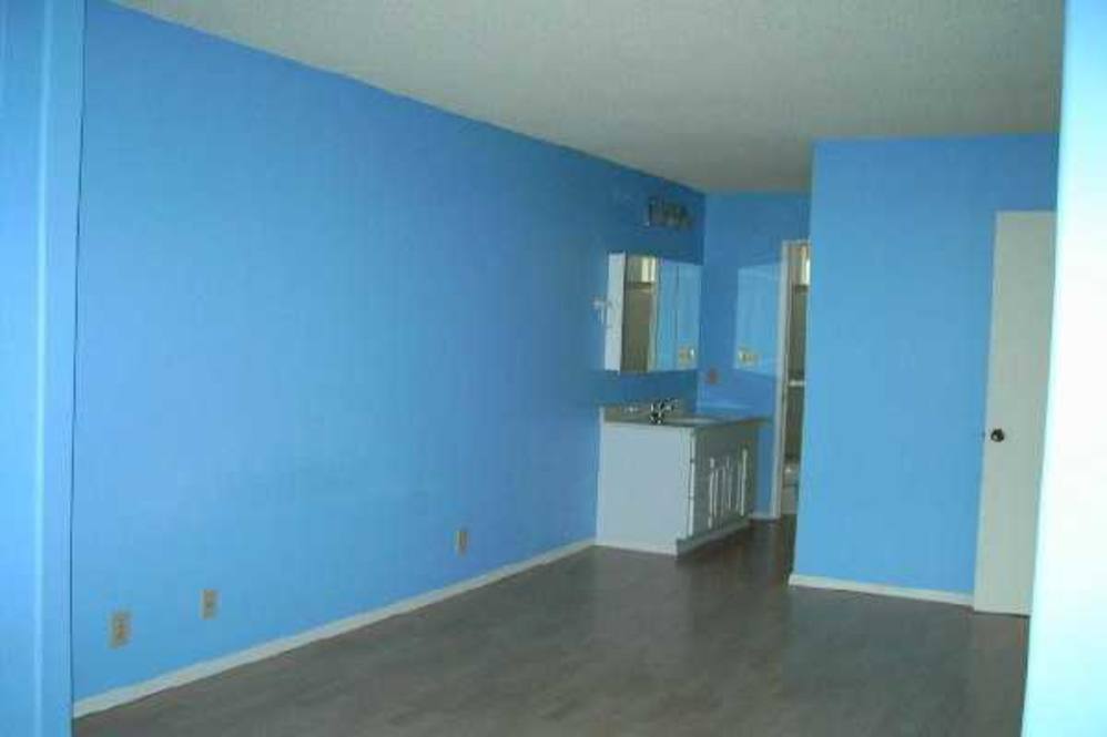 360 KAUILA ST 405 Condo for Sale in HILO 143967 Denise Nakanishi