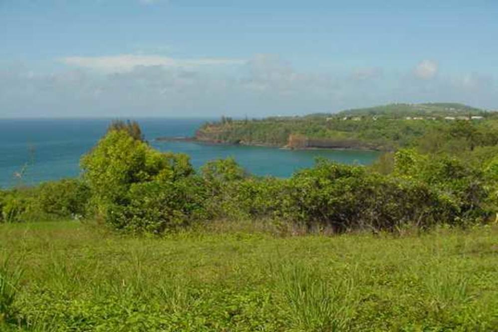 3250 Kalihiwai Road Land for Sale in PRINCEVILLE 110662 Ben