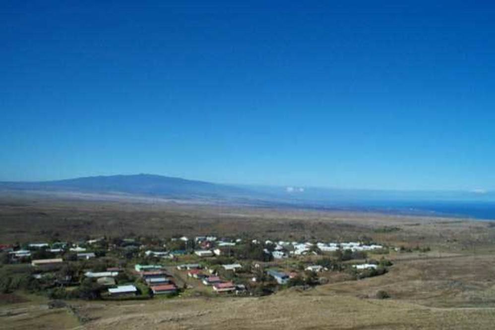 Kohala Mountain Road Land for Sale in KAMUELA 100160 Kathy E Awai
