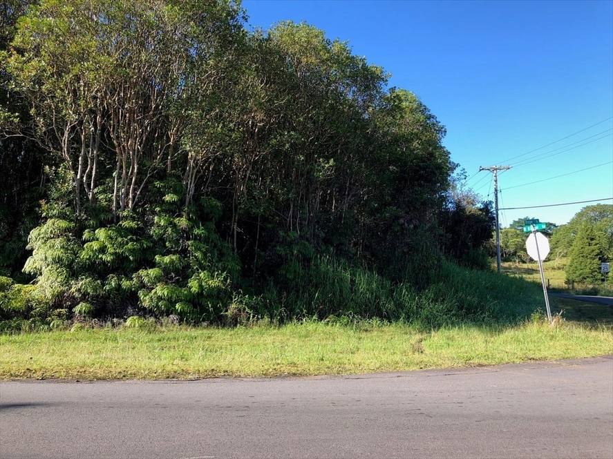 188129 N KULANI RD Land for Sale in MOUNTAIN VIEW 636849 Michael