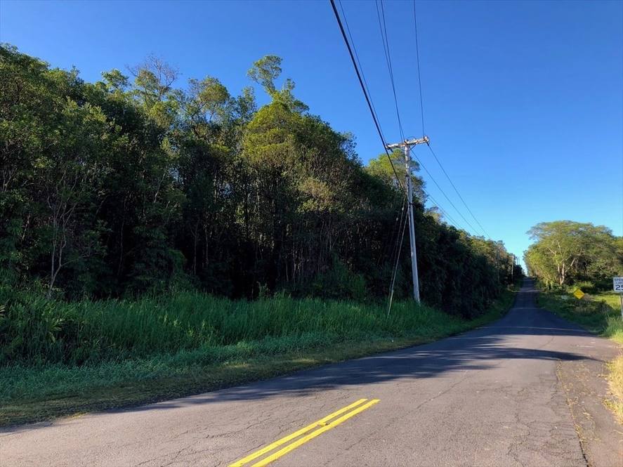 188129 N KULANI RD Land for Sale in MOUNTAIN VIEW 636849 Michael