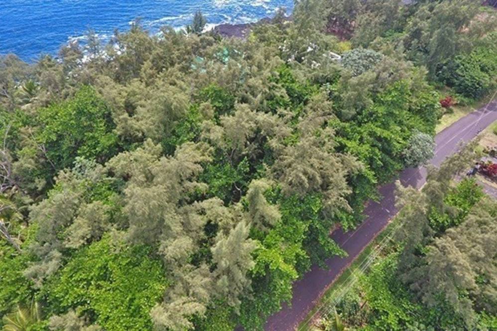 paradise-ala-kai-land-for-sale-in-keaau-637085-evan-clarke