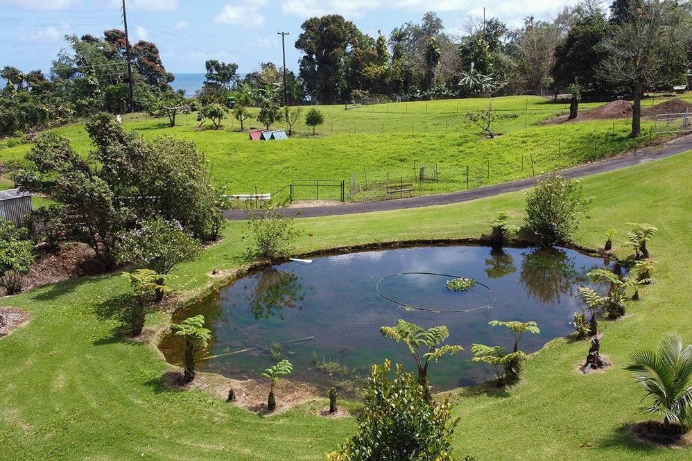 292058 OLD MAMALAHOA HWY Land for Sale in HAKALAU 637114 Denise