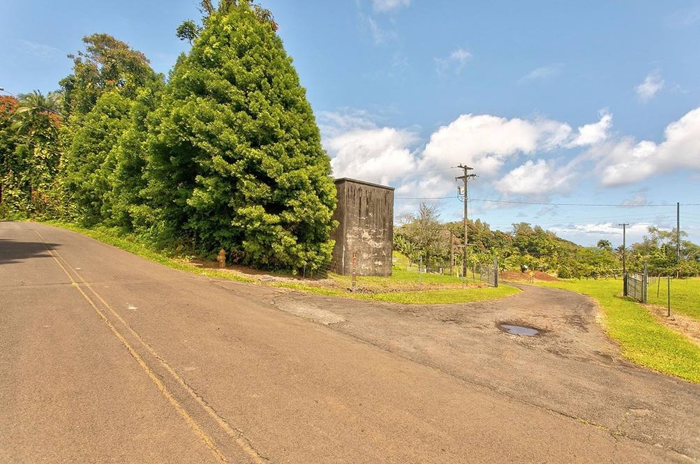 292058 OLD MAMALAHOA HWY Land for Sale in HAKALAU 637114 Denise