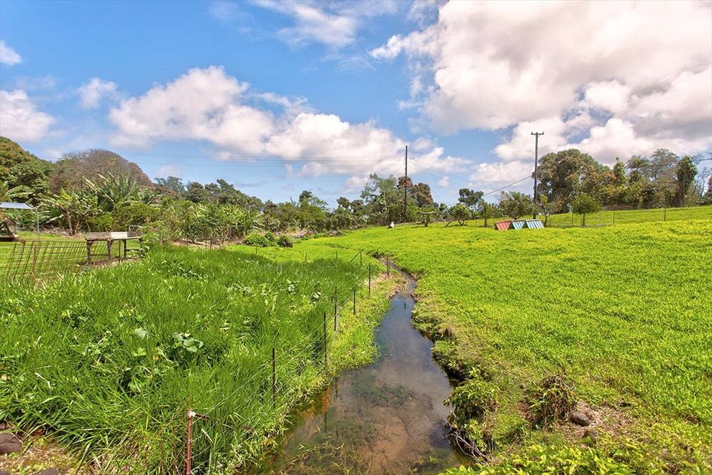 292058 OLD MAMALAHOA HWY Land for Sale in HAKALAU 637114 Denise