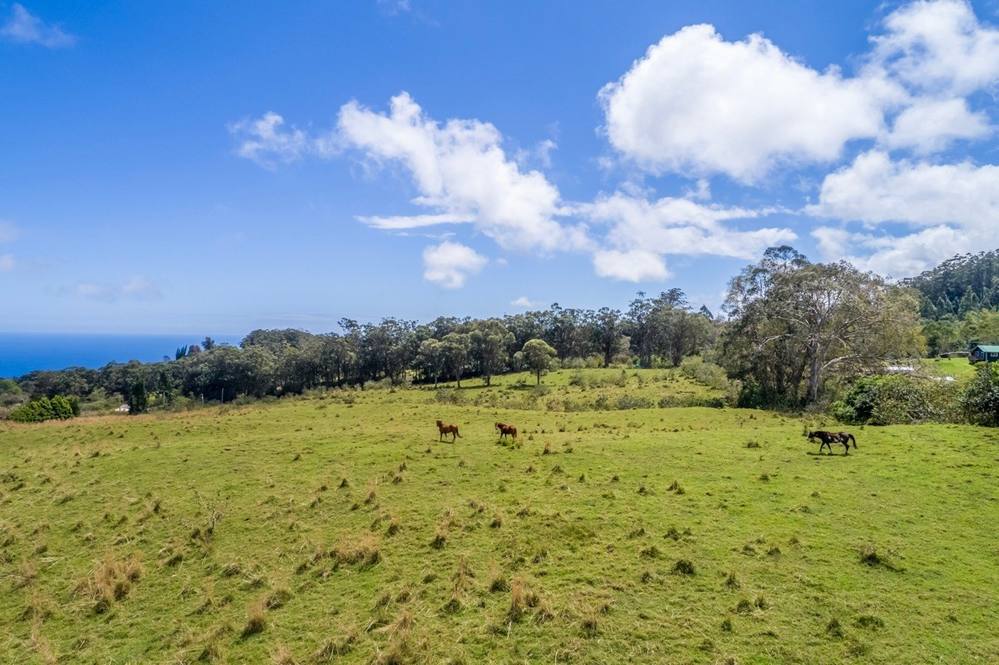 HOO KAHUA RD Land for Sale in Honoka'a 638110 Sandy Long Hawaii