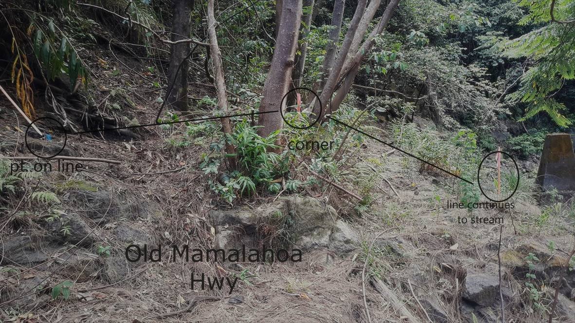 Land for Sale in OOKALA 633115 Daniel Krause Hawaii Life