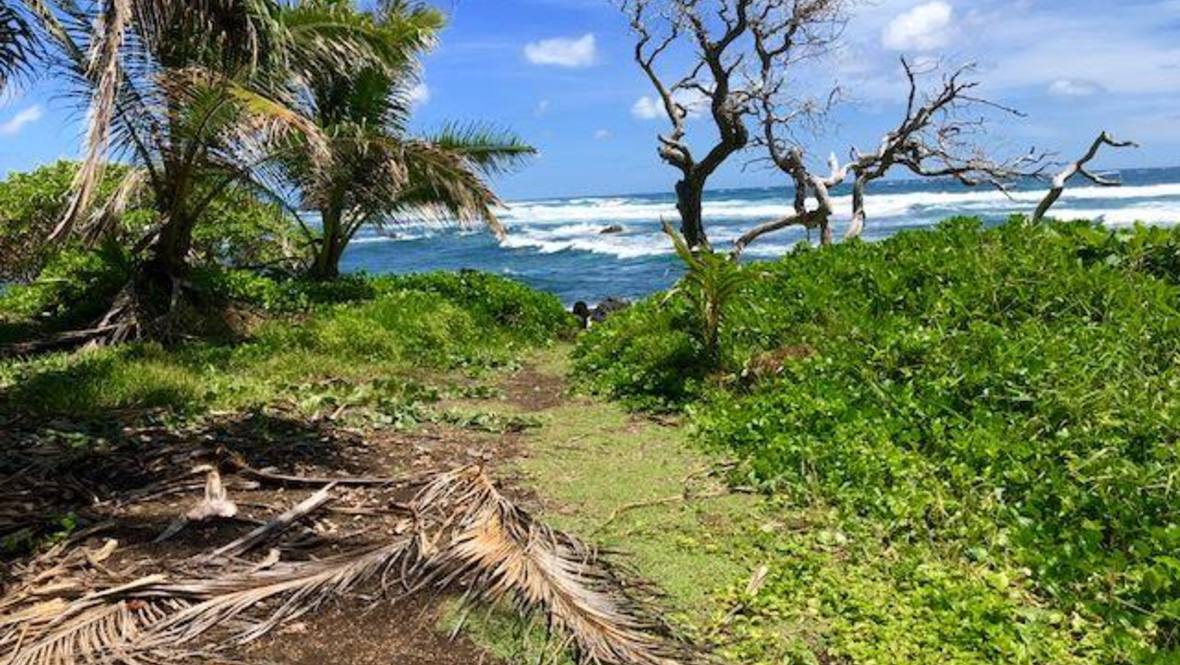 495 Haneoo Rd Land for Sale in Hana 380022 John B Guard IV