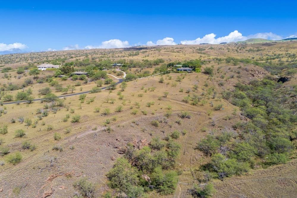 Land for Sale in KAMUELA 638746 Jan Nores Hawaii Life