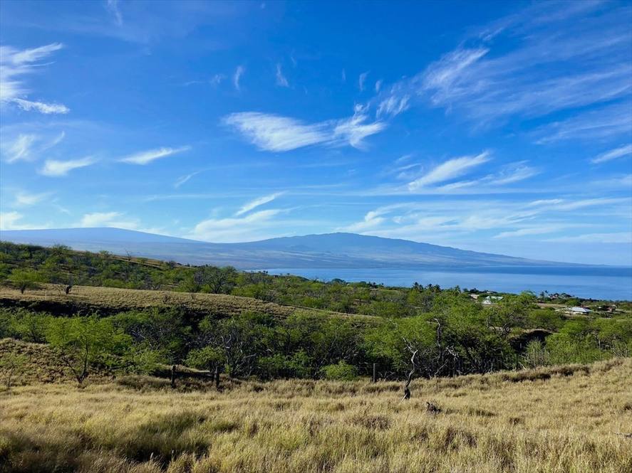 Land for Sale in KAMUELA 638746 Jan Nores Hawaii Life