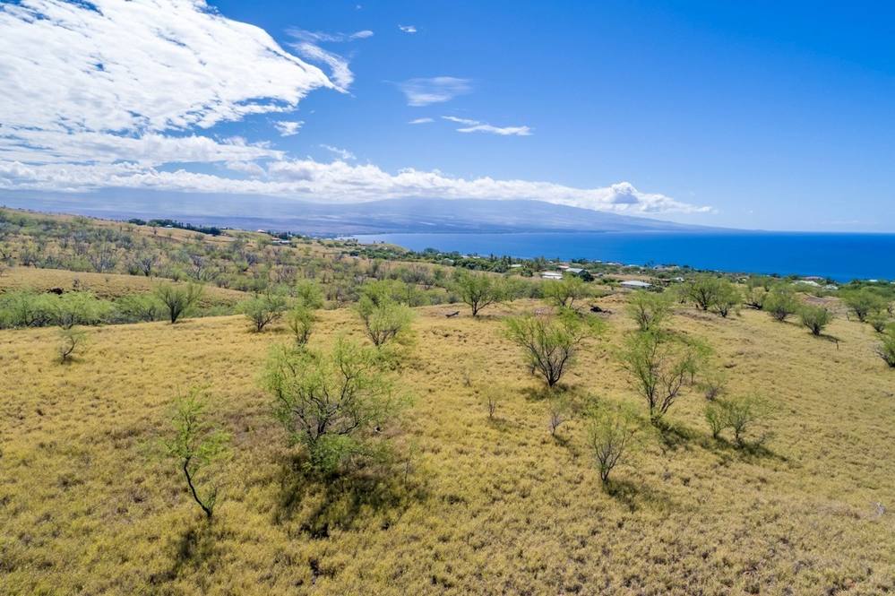 Land for Sale in KAMUELA 638746 Jan Nores Hawaii Life