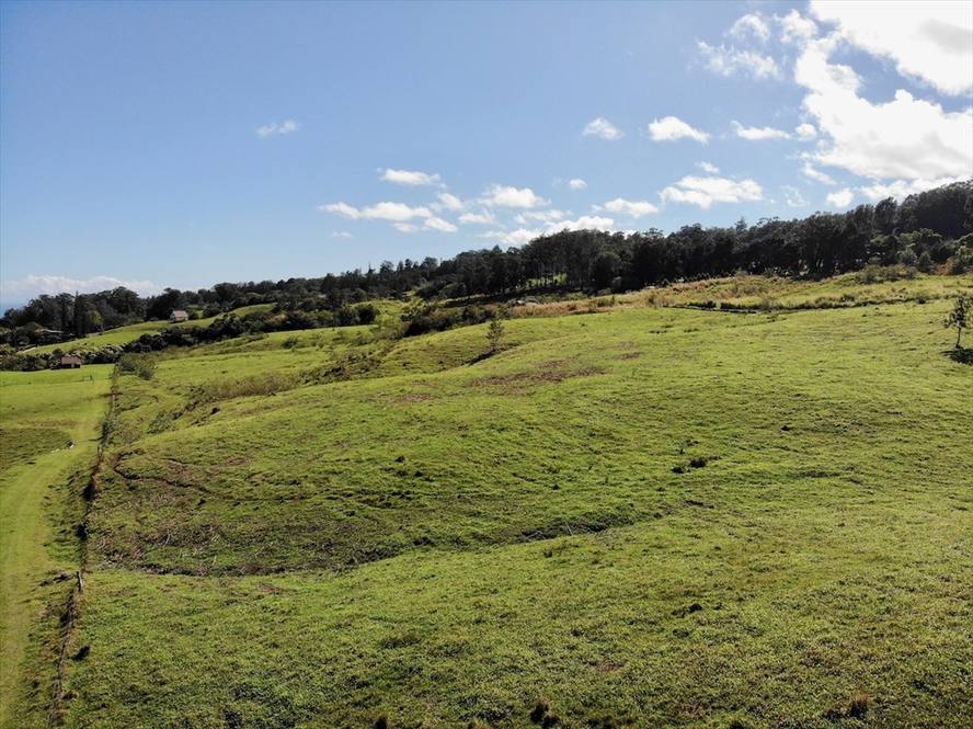 443099 KULA KAHIKO ROAD Land for Sale in Paauilo 635847 Dan