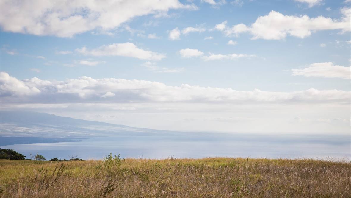 KALAMA WY Land for Sale in Kamuela 640542 Beth Thoma Robinson