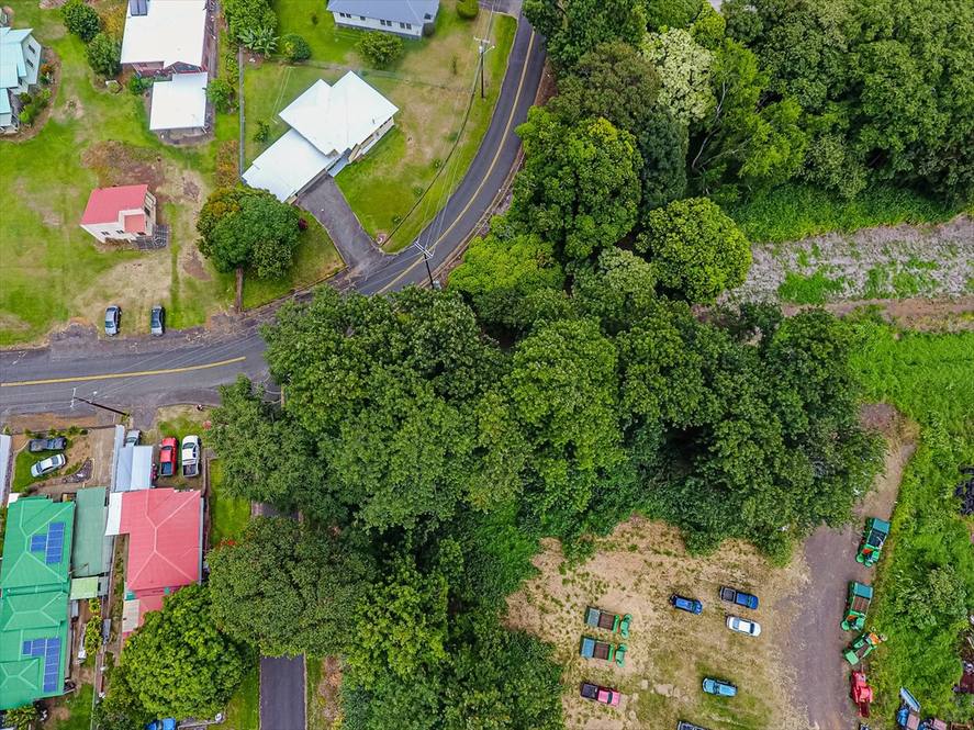 Land for Sale in PAHALA 640290 Denise Nakanishi Hawaii Life