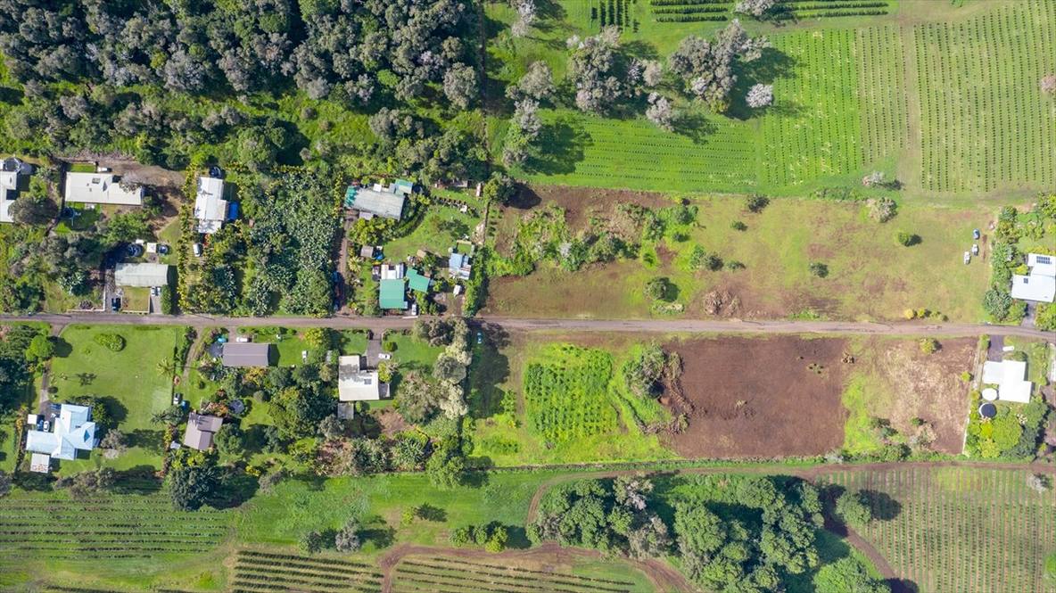 Land for Sale in CAPTAIN COOK 640579 Carrie Nicholson Hawaii Life