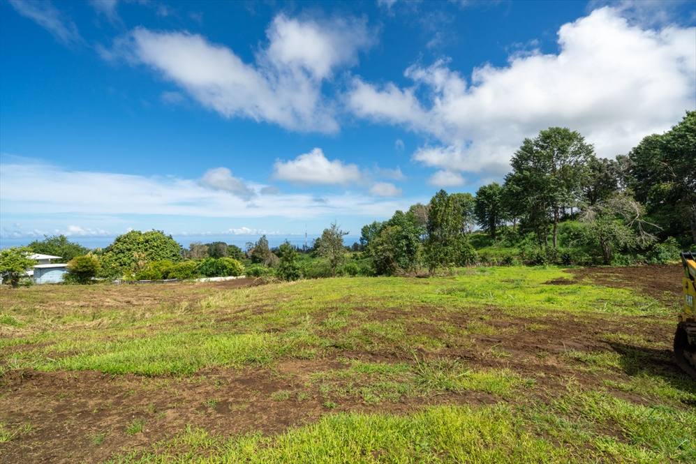 Land for Sale in CAPTAIN COOK 640579 Hawaii Life