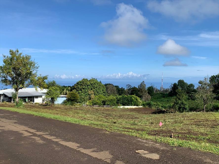 Land for Sale in CAPTAIN COOK 640579 Carrie Nicholson Hawaii Life