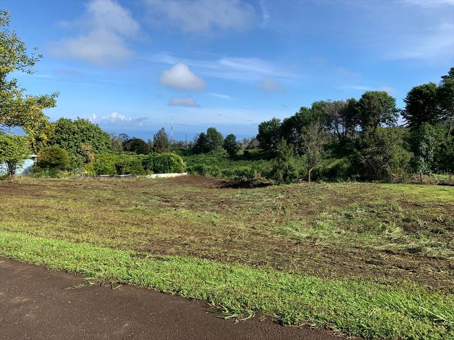 Land for Sale in CAPTAIN COOK 640579 Carrie Nicholson Hawaii Life