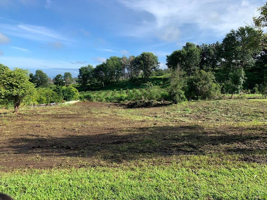 Land for Sale in CAPTAIN COOK 640579 Carrie Nicholson Hawaii Life