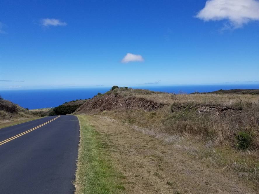 KOHALA RANCH RD LOT 547 Land for Sale in KAMUELA 641901 Jake