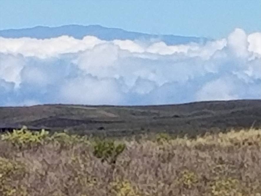 KOHALA RANCH RD LOT 547 Land for Sale in KAMUELA 641901 Jake