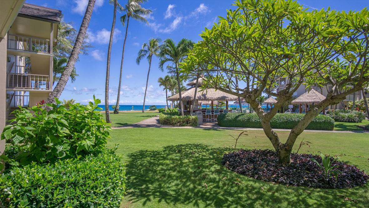 440 ALEKA PL 134 Condo for Sale in KAPAA 642099 Mike Despard