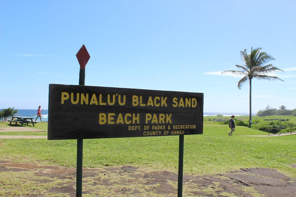 Punaluu Road Land for Sale in PAHALA 622568 Bruce Pratt Hawaii Life