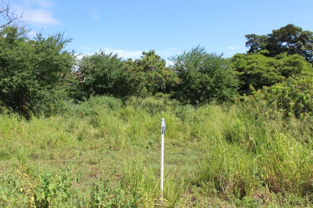 Punaluu Road Land for Sale in PAHALA 622568 Bruce Pratt Hawaii Life