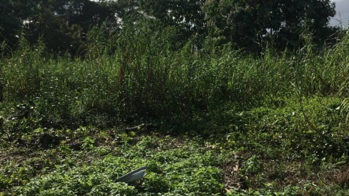 Land for Sale in HILO 640939 Denise Nakanishi Hawaii Life