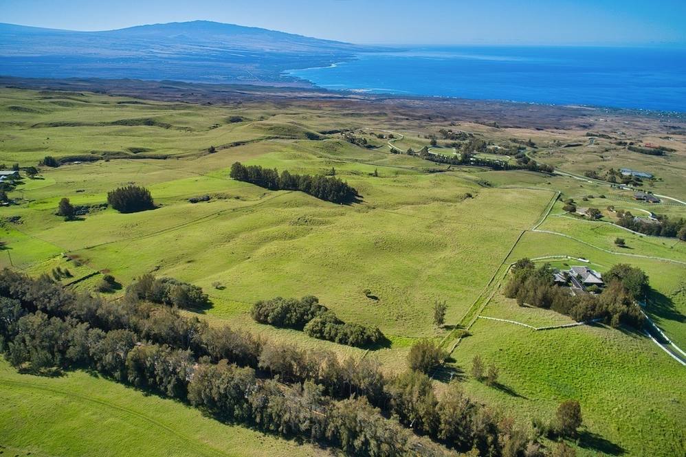 59139 KOHALA MOUNTAIN RD Land for Sale in Kamuela 644942 Steve