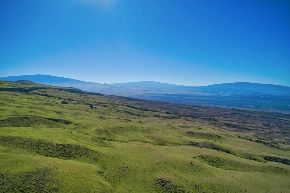59139 KOHALA MOUNTAIN RD Land for Sale in Kamuela 644942 Steve