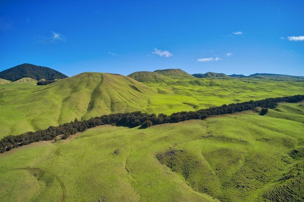 59139 KOHALA MOUNTAIN RD Land for Sale in Kamuela 644942 Steve