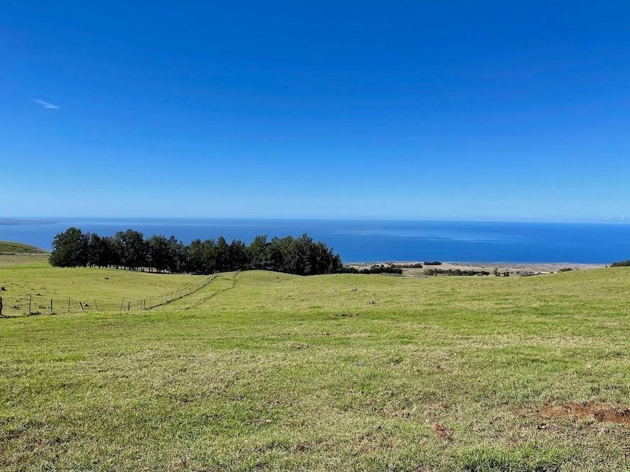 59139 KOHALA MOUNTAIN RD Land for Sale in Kamuela 644942 Steve