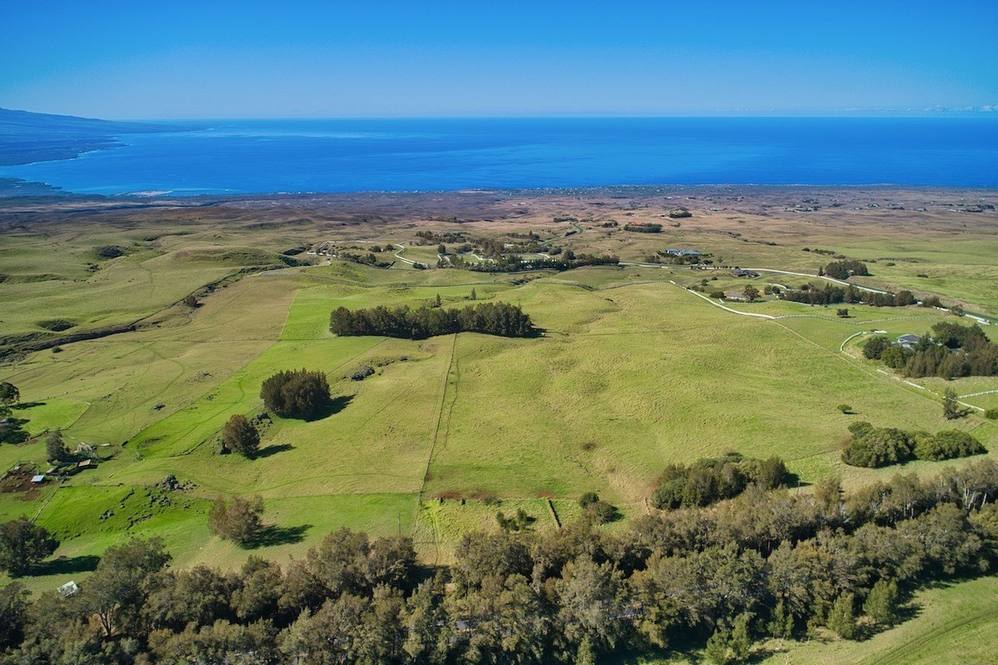 59139 KOHALA MOUNTAIN RD Land for Sale in Kamuela 644942 Steve