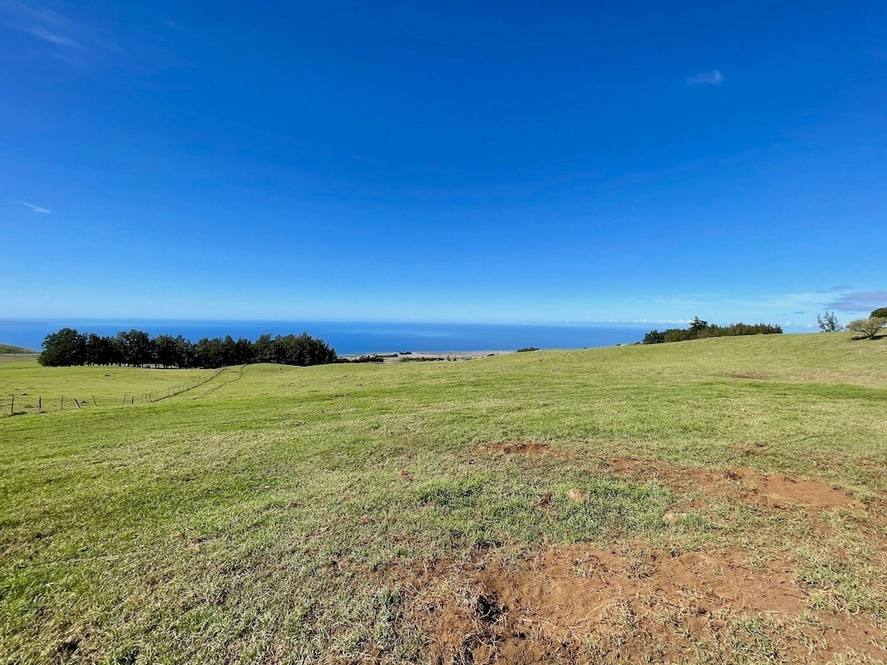 59139 KOHALA MOUNTAIN RD Land for Sale in Kamuela 644942 Steve