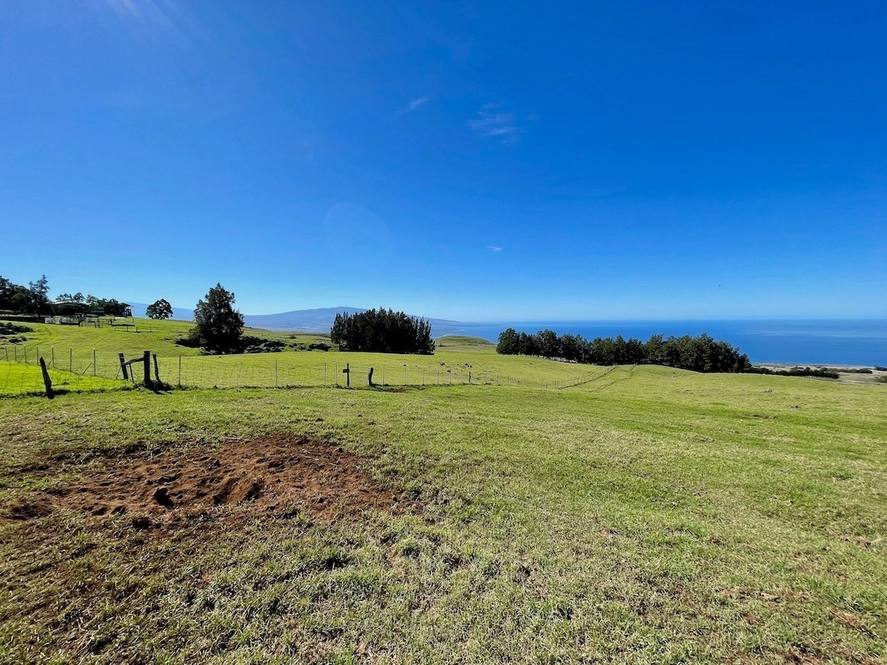59139 KOHALA MOUNTAIN RD Land for Sale in Kamuela 644942 Steve