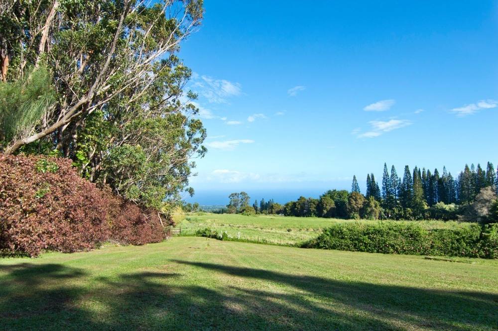 551102 KAAUHUHU HOMESTEAD RD House for Sale in Hawi 645075 Mike