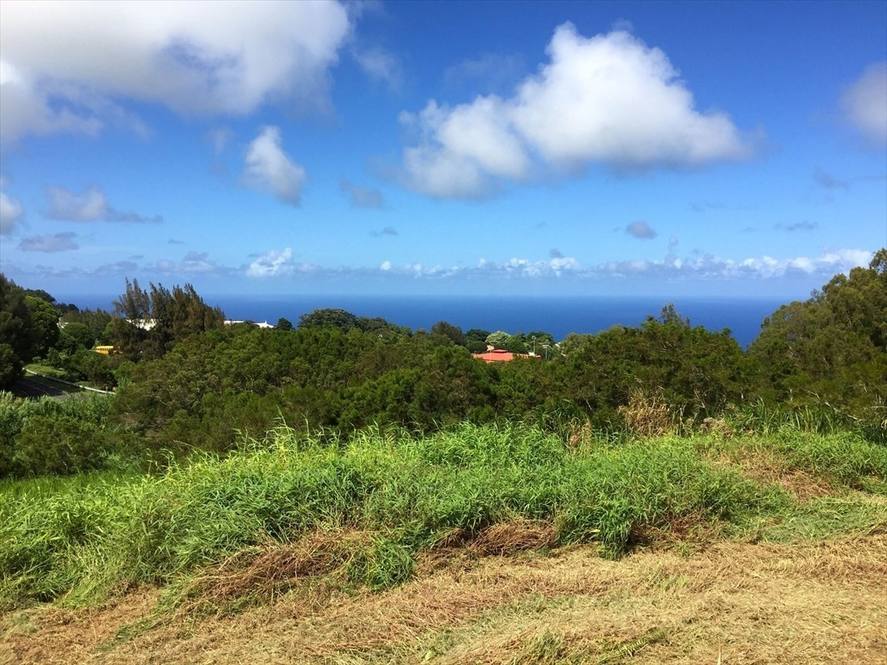 45632 LEHUA ST Land for Sale in HONOKAA 645879 Maylyn Caravalho