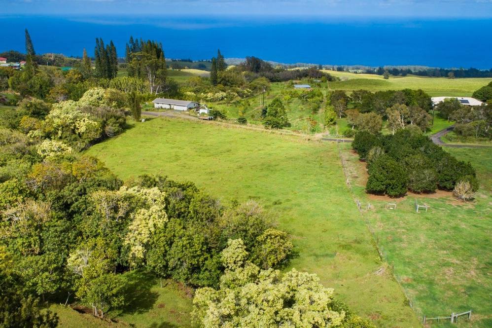 KAAPAHU RD Land for Sale in HONOKAA 646890 Denise Nakanishi