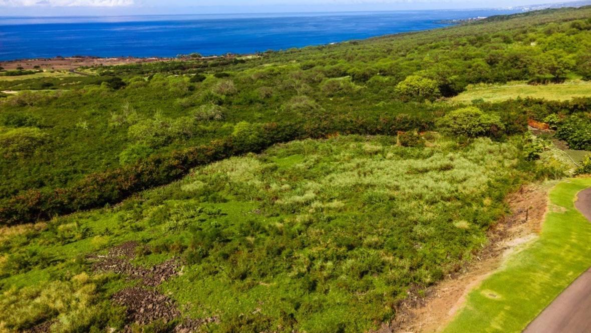 816691 PAKAUKANI PL Land for Sale in KEALAKEKUA 645386