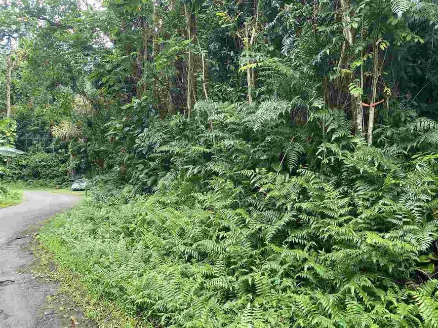 670 Nahiku Rd Land for Sale in Hana 390752 Hunter