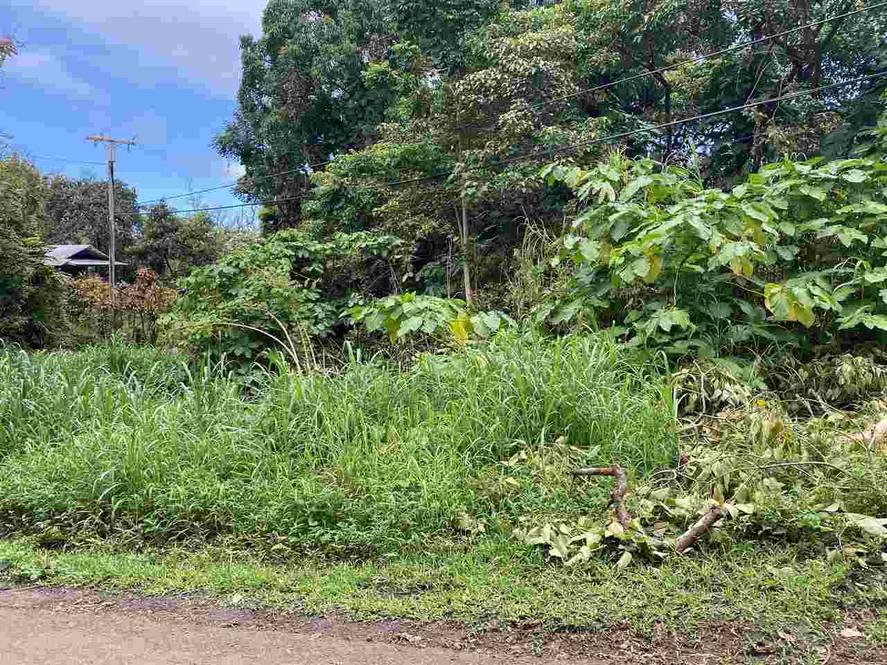 670 Nahiku Rd Land for Sale in Hana 390752 Hunter