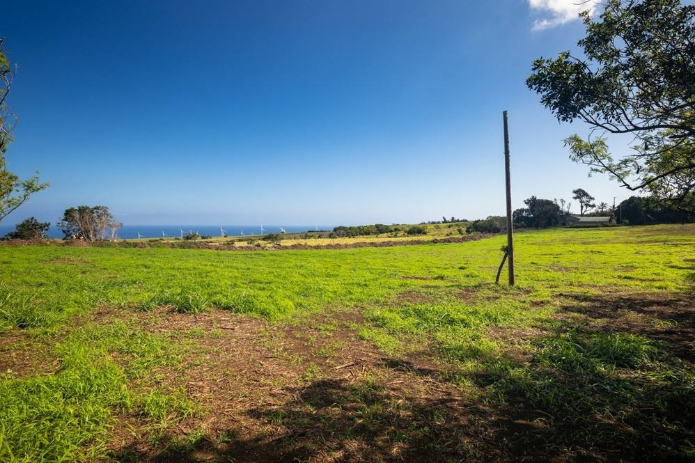 Land for Sale in HAWI 648314 Jan Nores Hawaii Life