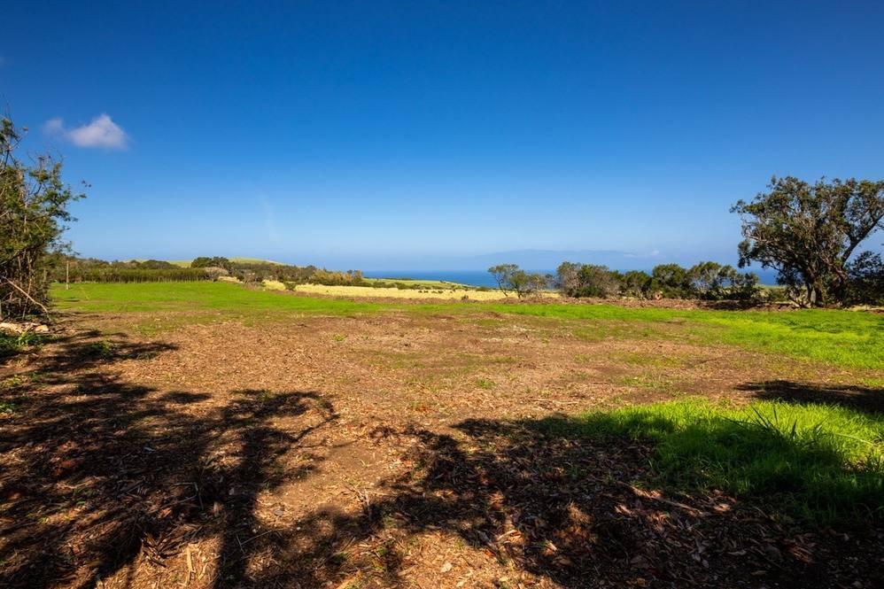 Land for Sale in HAWI 648314 Jan Nores Hawaii Life