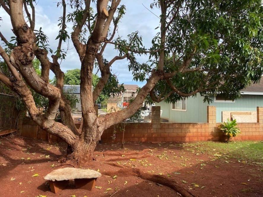 3539 MAKOA ST House for Sale in HANAPEPE 648653 Judy Shiroma Hawaii Life