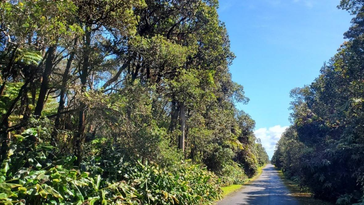 6TH ST Land for Sale in VOLCANO 649100 Grace Reinhard Hawaii Life