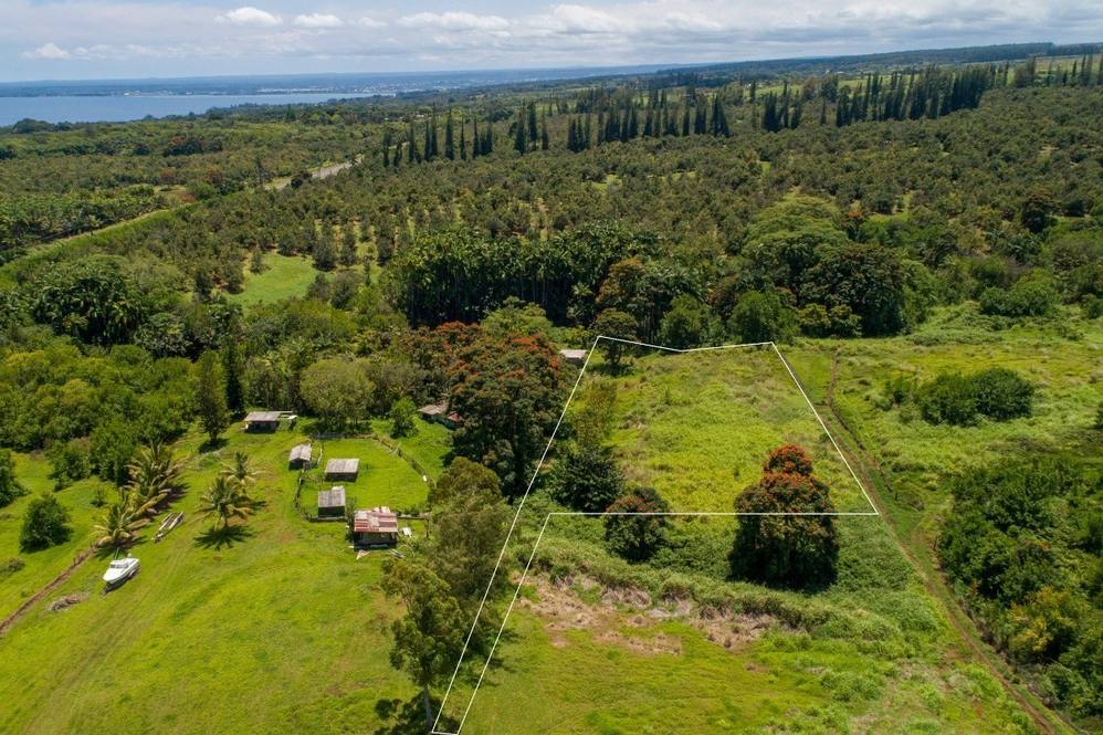 KULAIMANO RD Land for Sale in PEPEEKEO 648647 Renee Hill Hawaii