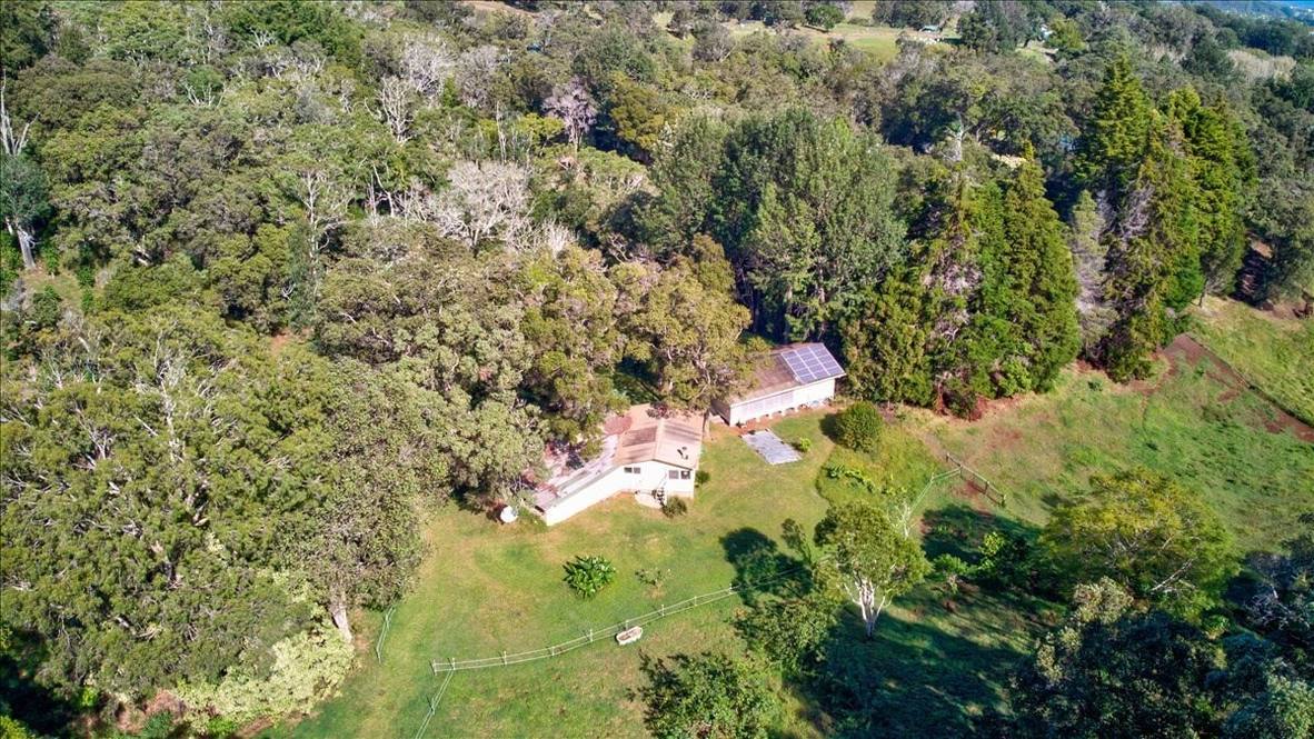 43787 ANTONE DE LUZ RD Land for Sale in PAAUILO 650816 Noelani