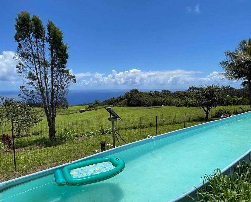 35195 PAPAALOA RD House for Sale in Papaaloa 649912 Dan Ishikawa